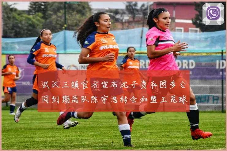 武汉三镇官方宣布沈子贵和图多合同到期离队陈宇浩转会加盟玉昆球队