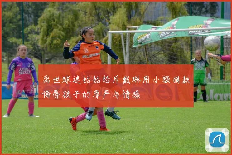 离世球迷姑姑怒斥戴琳用小额捐款侮辱孩子的尊严与情感