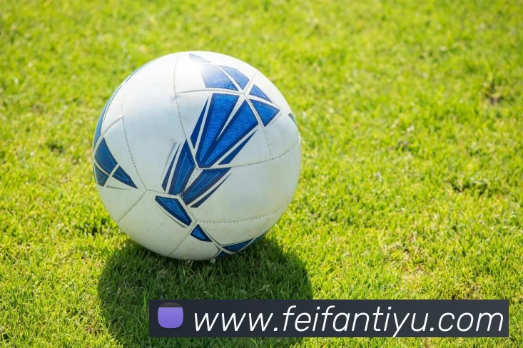 非凡体育APP 高清赛事图