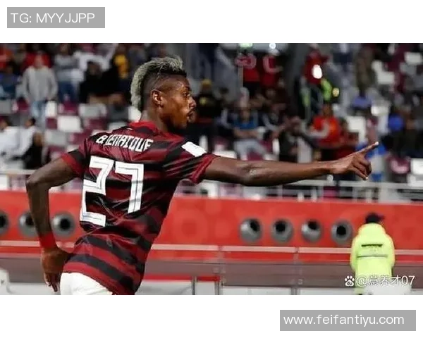 巴甲联赛历史夺冠次数统计帕尔梅拉斯领先弗拉门戈紧随其后 巴甲联赛历史夺冠次数统计帕尔梅拉斯领先弗拉门戈紧随其后