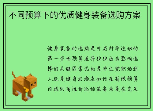 不同预算下的优质健身装备选购方案